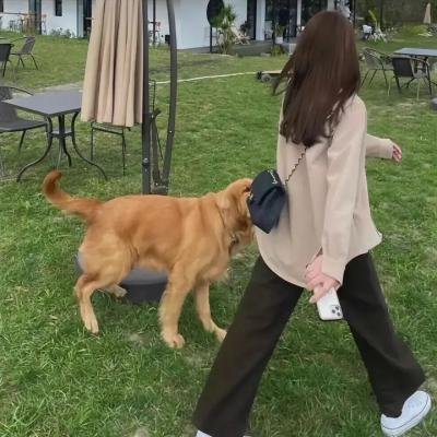 三条黑暗的街道