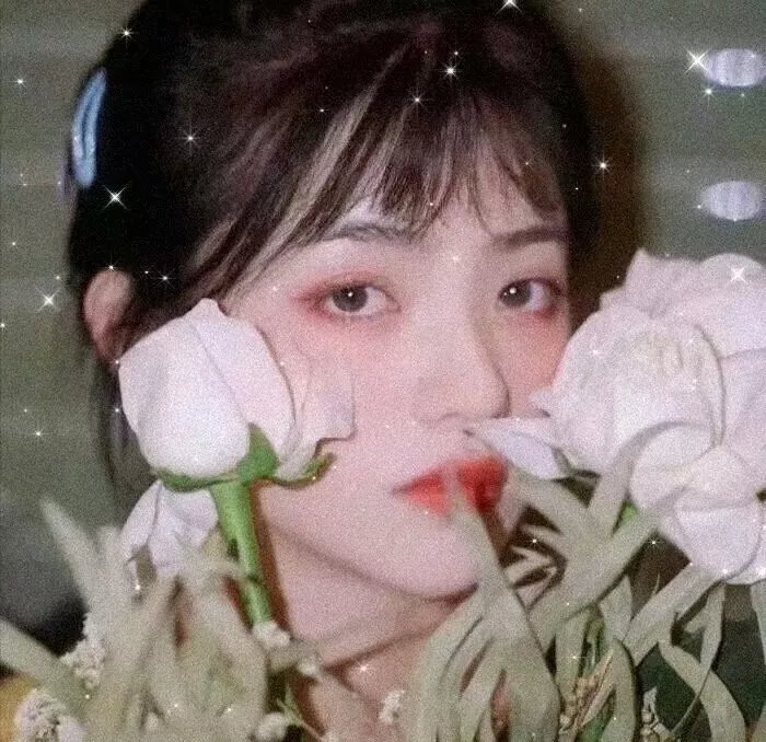 加油！同期酱